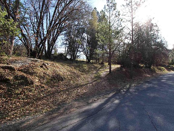 3rd image of 16611 White Oak Dr