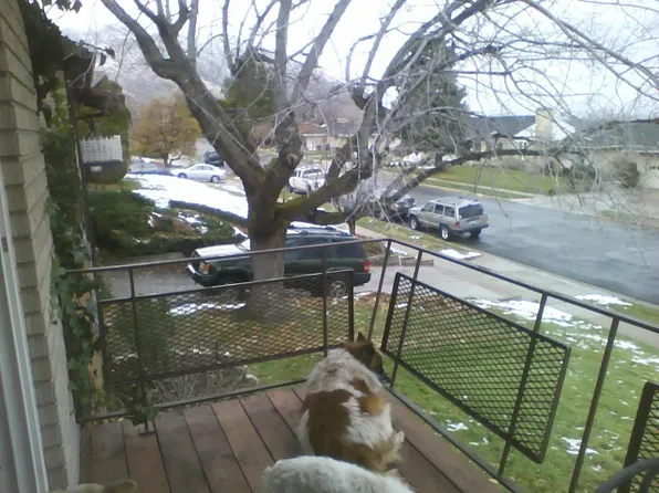 1508 Stanphil Rd, Jacksonville, AR 72076