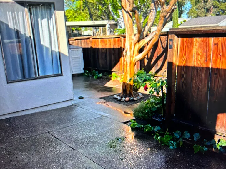 3450 W Benjamin Holt Dr — Photo 17