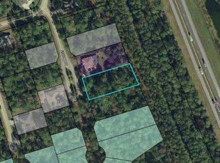 9 Sedum Ct, Palm Coast, FL 32164