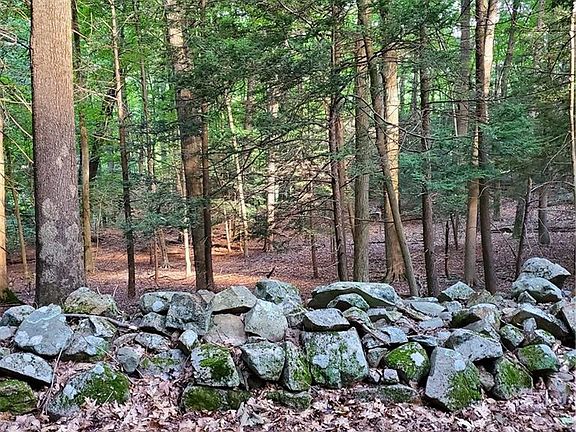 3rd image of 1171 Lakes Rd