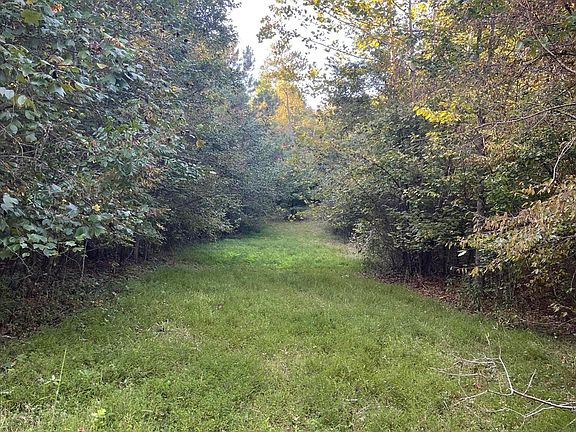 123rd image of 450 County Road 28