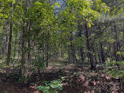 0 Freemantown Rd, Lake Lure, NC, 28746