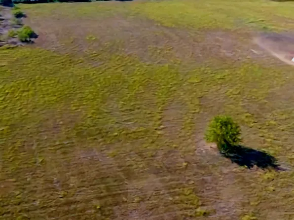 9088 Wolfe Run, Ponder, TX 76259