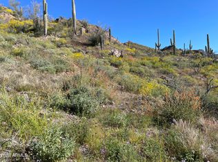 Xx9e N Elephant Butte Rd, Gold Canyon, AZ 85118