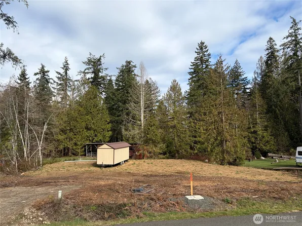 41 E Wildwood Lane, Brinnon, WA 98320