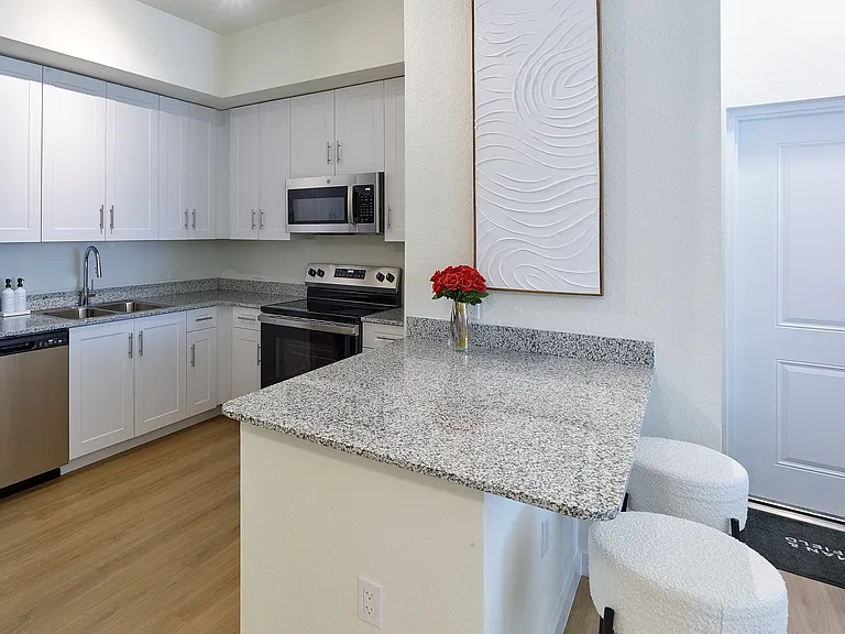 Gateway Luxury Apartments — Photo 12