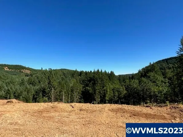Tl 526258 Pumpkinseed Rd, Willamina, OR 97396