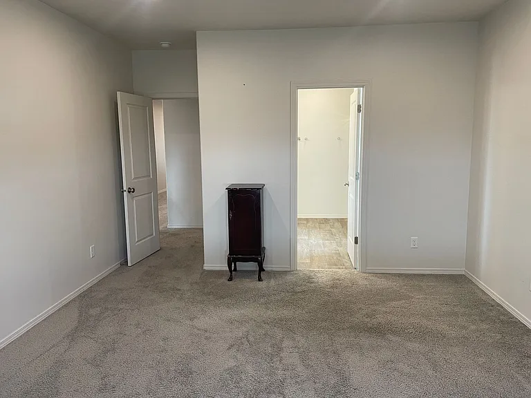4248 Bufflehead — Photo 3