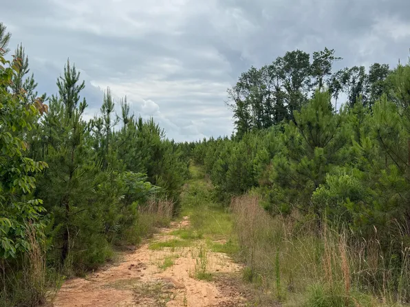 Dividing Ridge Rd, Gore Springs, MS 38929