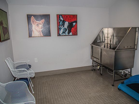 Self Service Pet Spa