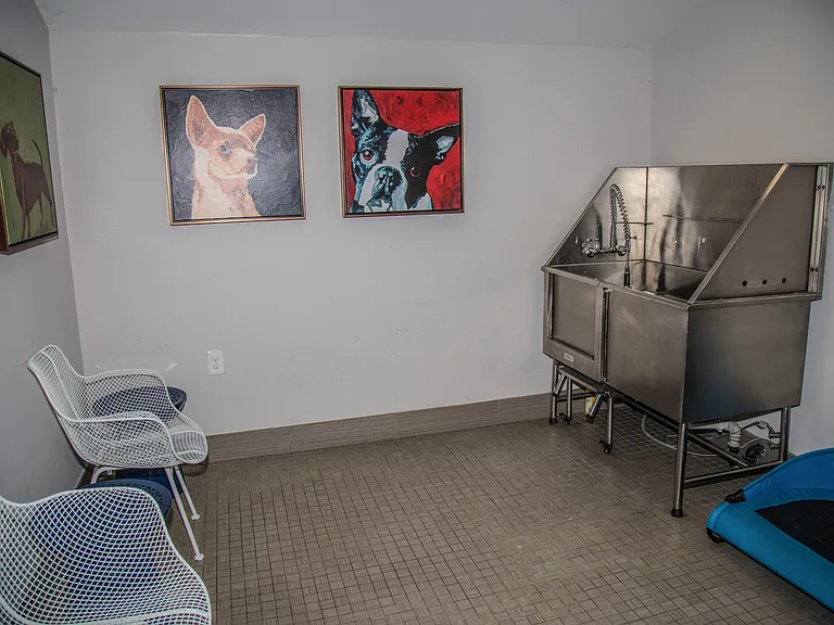 Self Service Pet Spa