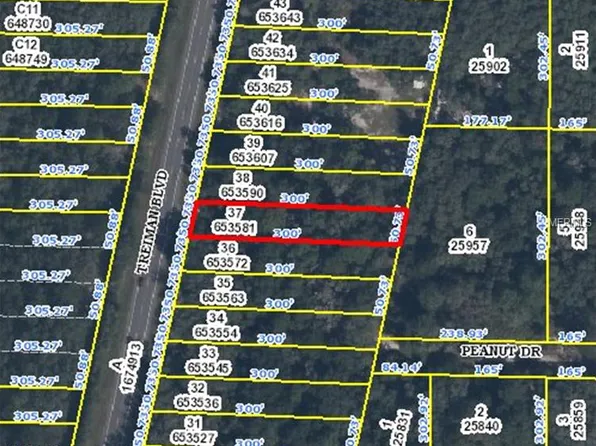 Treiman Blvd, Webster, FL 33597