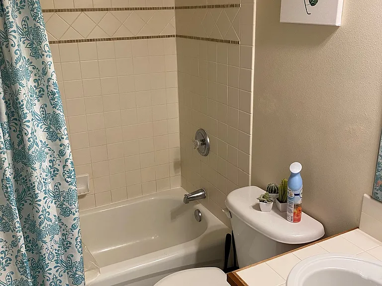 Lower level bath