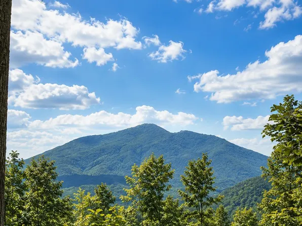 Tbd Heaton Branch Rd, Butler, TN 37640