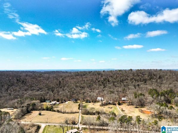 175 Taylor Rd, Remlap, AL 35133