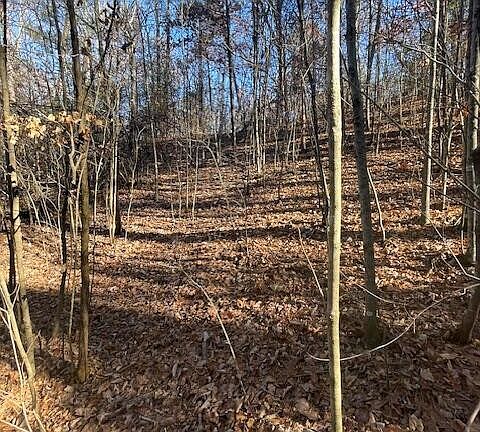 3rd image of 271 Jada Ln Lot 27R1
