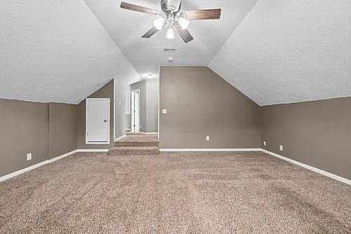 3838 Alley Sheba Dr Photo 1