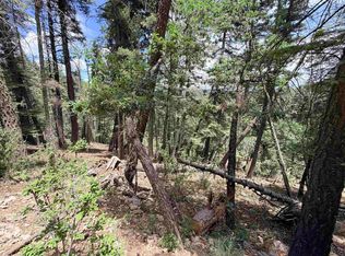 Lee Cir, Cloudcroft, NM 88317