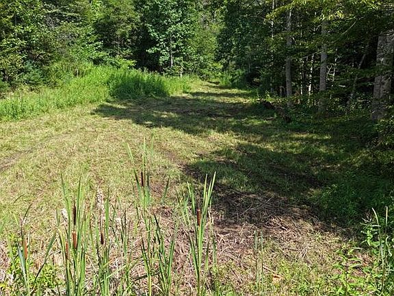 5th image of 33.88 Acres Baptist Hollow Rd
