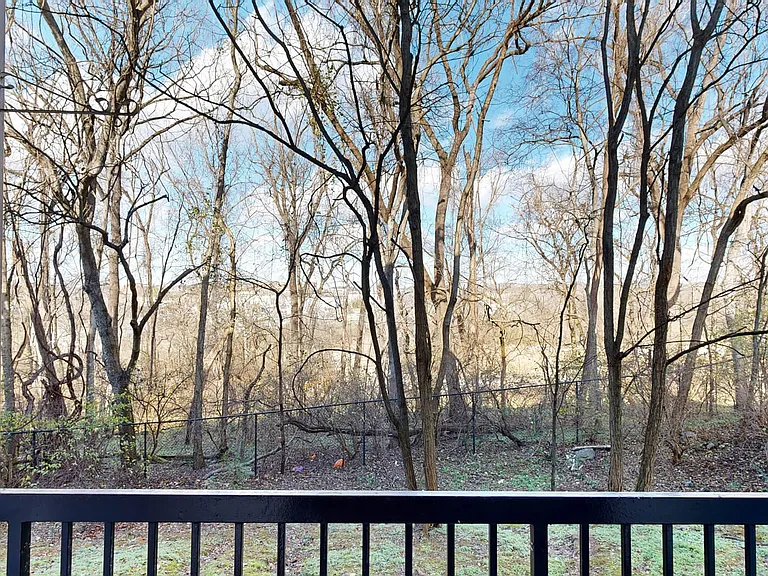 Carrington Hills — Photo 81