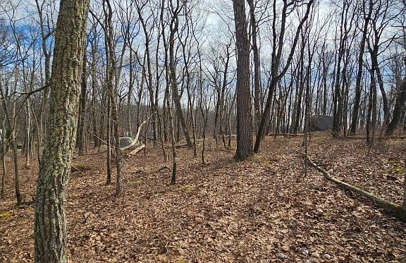 4th image of 00 Upper Hibernia Rd