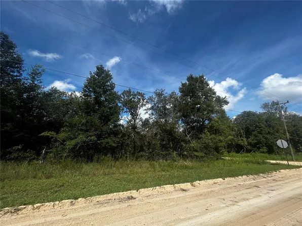 00 NE 115TH AVE, WILLISTON, FL 32696