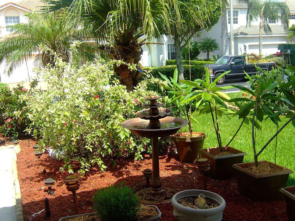 View from front porch