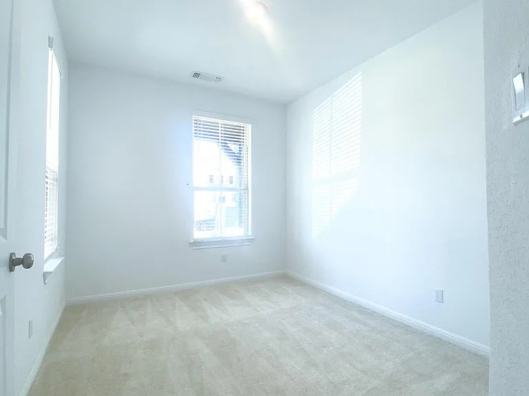 221 Sand Lily Ln — Photo 56