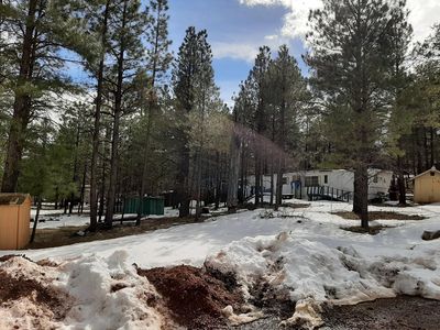 2909 Wapiti Dr, Happy Jack, AZ, 86024