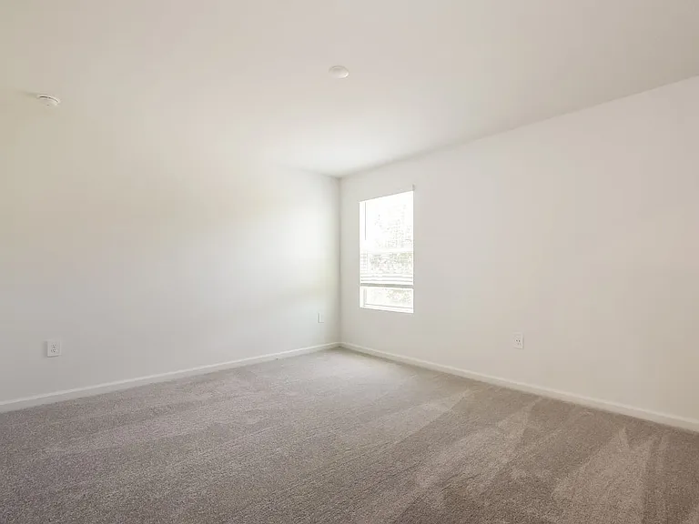 1317 Acorn Meadow Loop — Photo 8