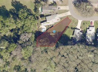 32 Ginger Cir, Leesburg, FL 34748