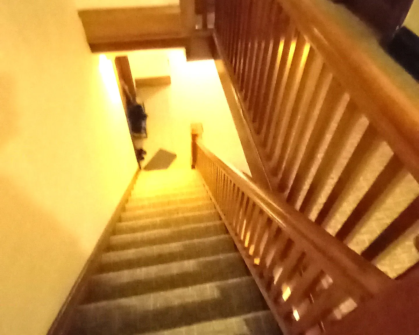 1 bed, 500 sqft, $859 — Photo 4