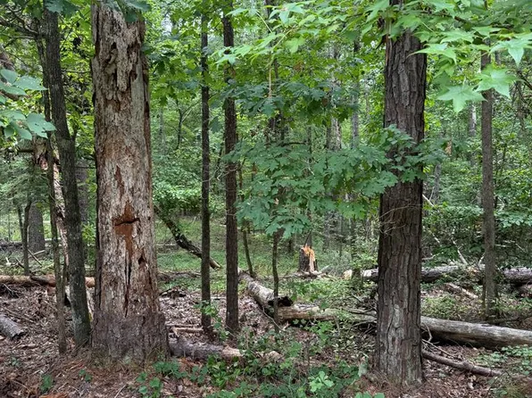 LOT 79 Island Creek Dr, Sparta, GA 31087