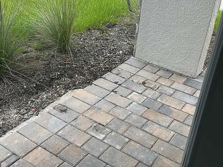 826 Friendship Cir — Photo 8