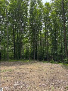 PARCEL N 45th Rd #A, Manton, MI, 49663