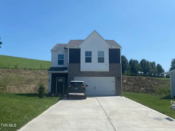 135 Mint Ct, Bluff City, TN 37618