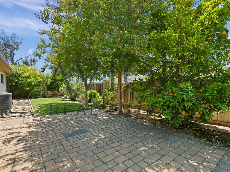 Patio | Backyard