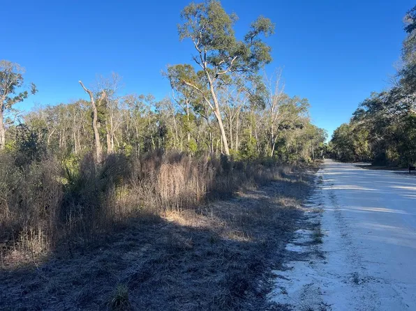  NE 673rd St, Old Town, FL 32680