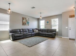 13516 Barkingside Pl, Spring Hill, FL 34609