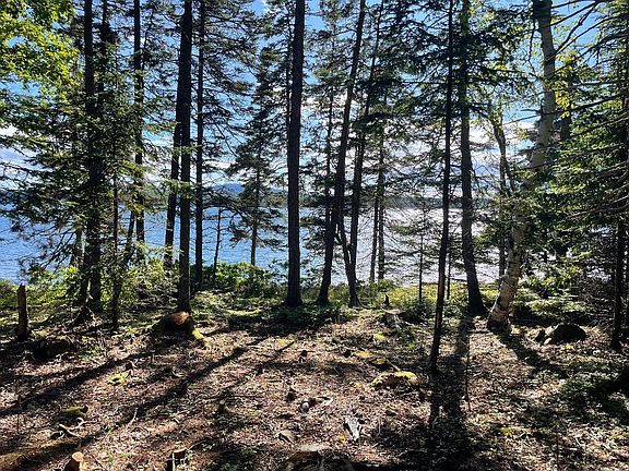 2nd image of 56 Jordan Harbor Road