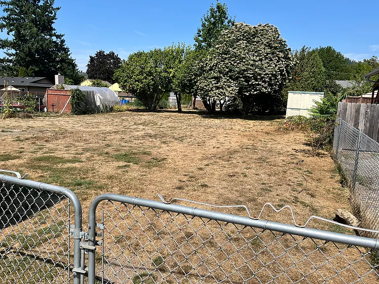 Fenced backyard with fruit trees in the very back.