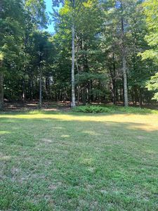 484 Cove Ln, Woodlawn, VA, 24381
