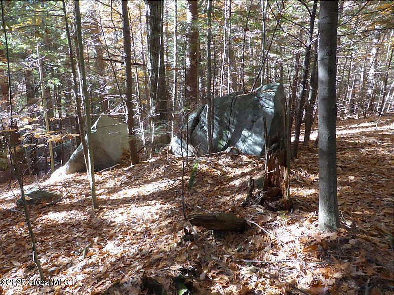 4th image of 487 Antone Mountain Road