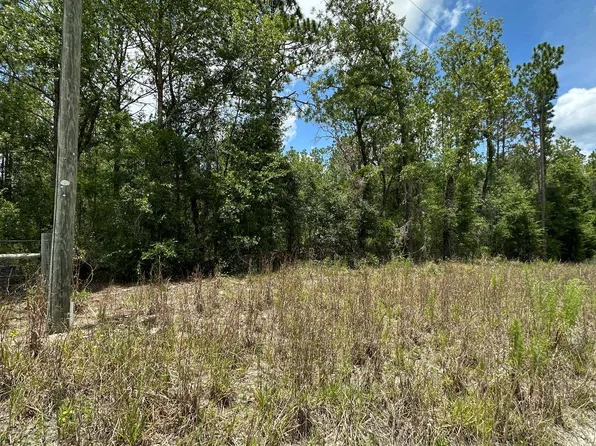 0 NW 17th Ct, Bell, FL 32619