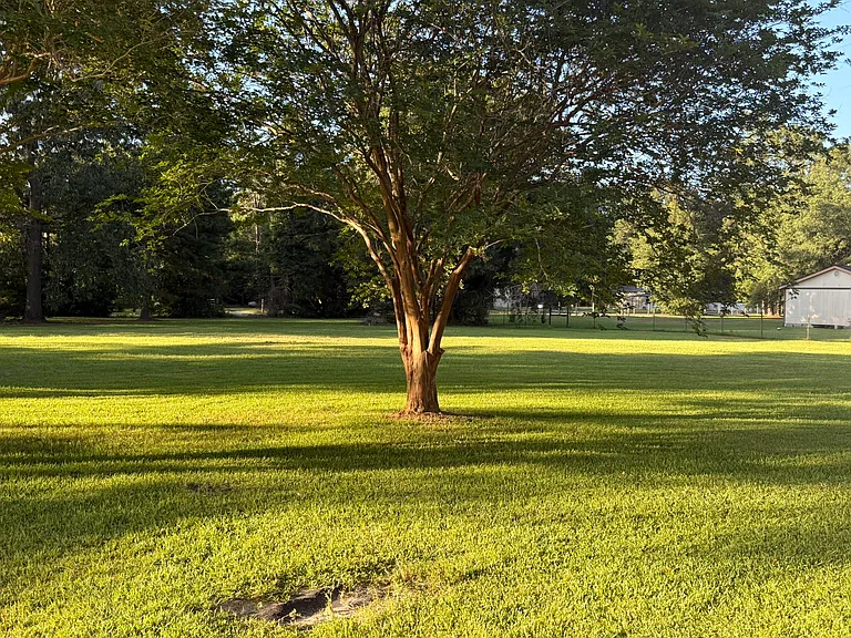 26864 Morgan Cemetery Rd — Photo 22