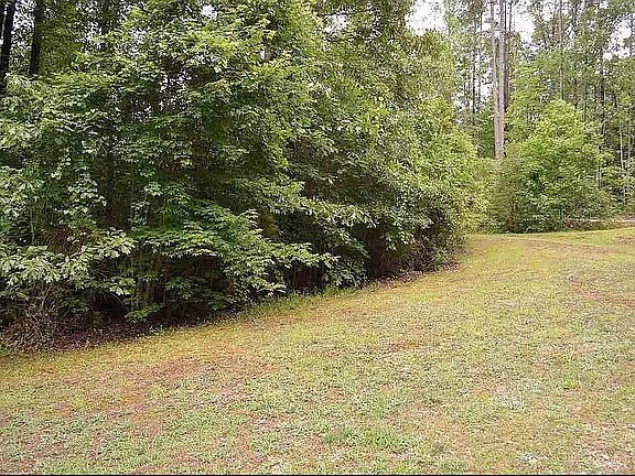 4th image of 517 High Hammock Dr