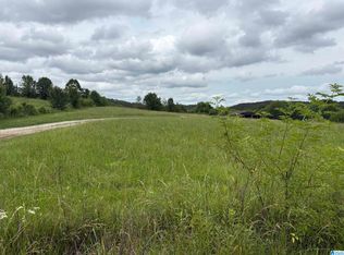 0 County Highway 13 #1, Cleveland, AL 35049