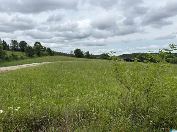 0 County Highway 13 #0, Cleveland, AL 35049