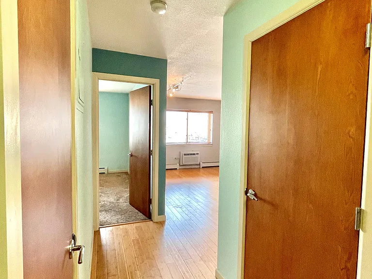 1231 N Downing St #203 — Photo 1
